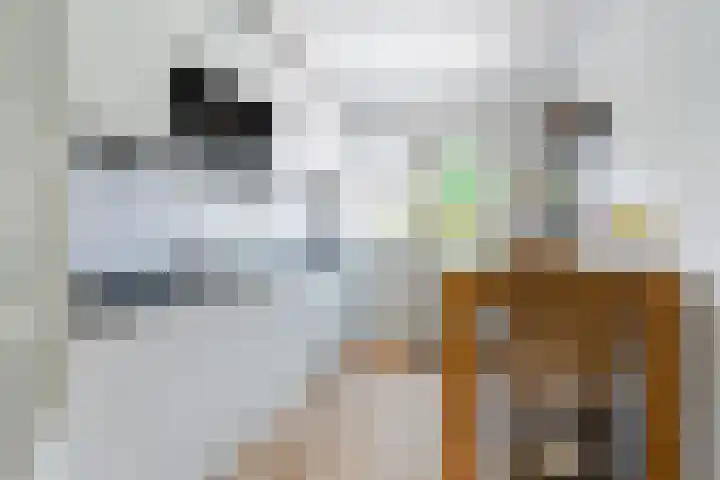 Orxmasingel 15 Menaam thumbnail 4