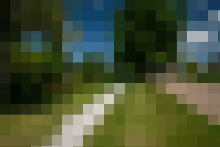 Orxmasingel 15 Menaam thumbnail 40