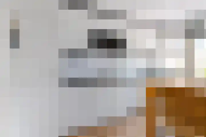 Orxmasingel 15 Menaam thumbnail 6