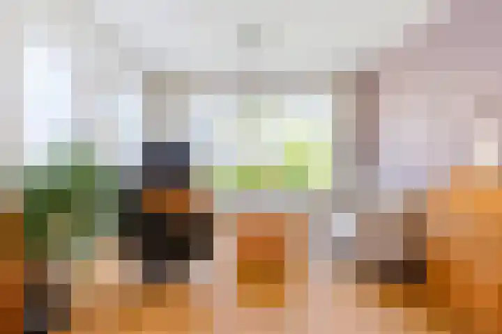 Orxmasingel 15 Menaam thumbnail 7