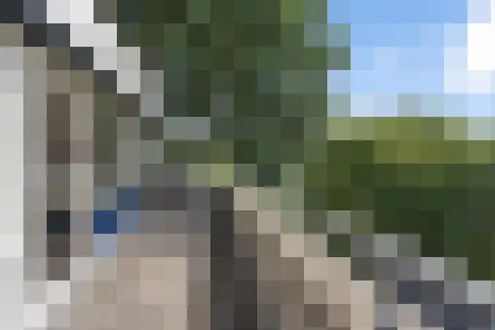 Orxmastate 24 Leeuwarden thumbnail 35