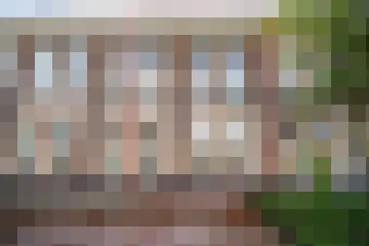 Os en Paardenlaan 2 C in Leiden