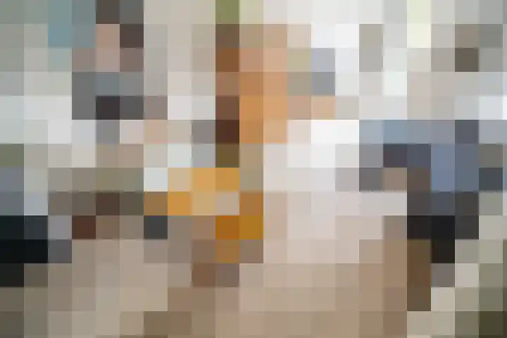 Os en Paardenlaan 2 C Leiden thumbnail 11