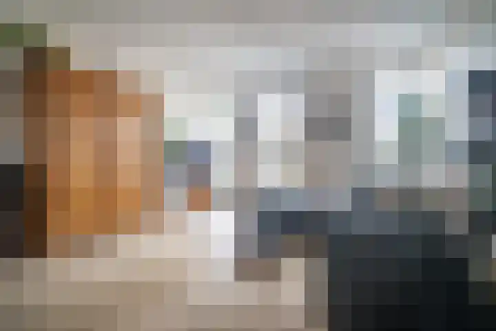 Os en Paardenlaan 2 C Leiden thumbnail 12