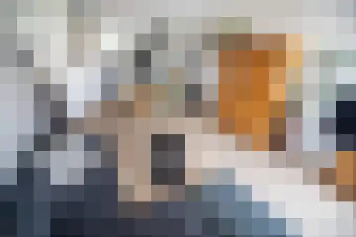 Os en Paardenlaan 2 C Leiden thumbnail 15