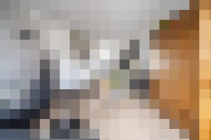Os en Paardenlaan 2 C Leiden thumbnail 16