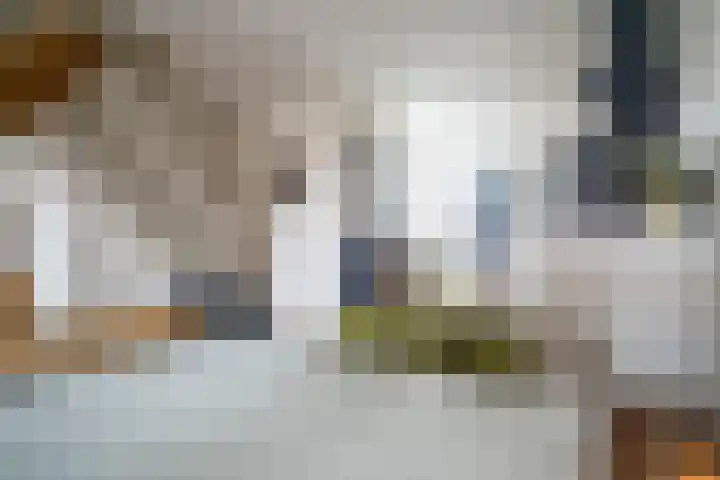 Os en Paardenlaan 2 C Leiden thumbnail 18