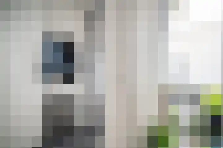 Os en Paardenlaan 2 C Leiden thumbnail 21