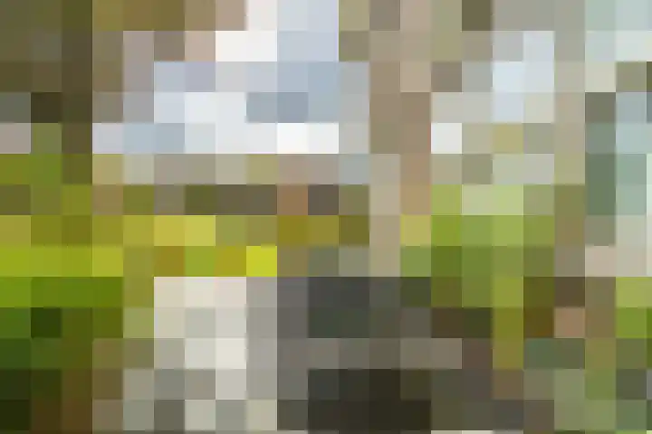 Os en Paardenlaan 2 C Leiden thumbnail 22