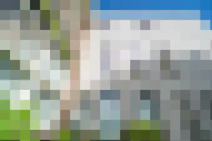Os en Paardenlaan 2 C Leiden thumbnail 23