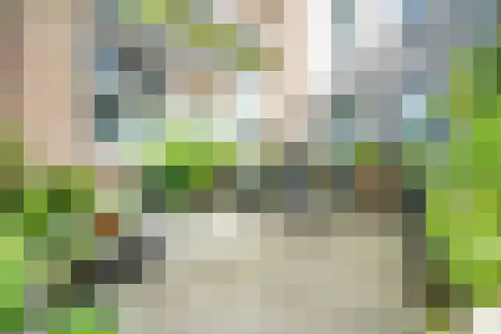 Os en Paardenlaan 2 C Leiden thumbnail 24