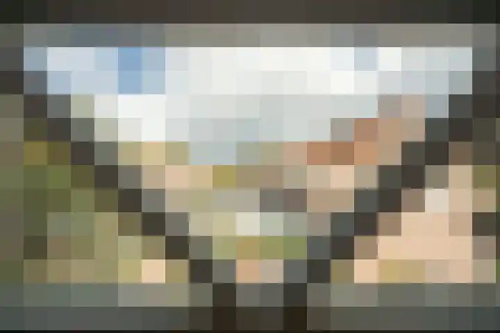 Os en Paardenlaan 2 C Leiden thumbnail 30
