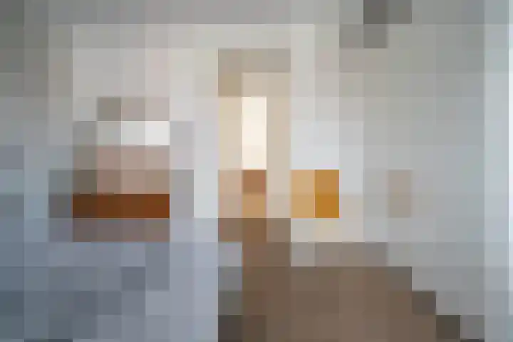 Os en Paardenlaan 2 C Leiden thumbnail 31
