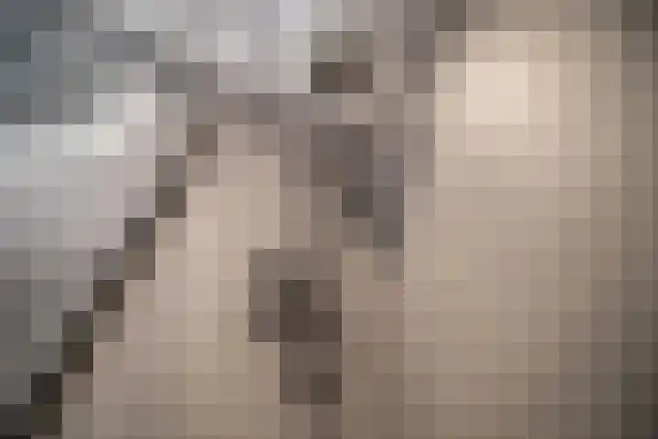 Os en Paardenlaan 2 C Leiden thumbnail 33