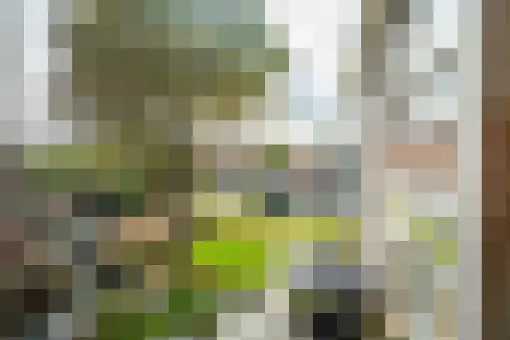 Os en Paardenlaan 2 C Leiden thumbnail 36