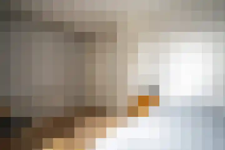 Os en Paardenlaan 2 C Leiden thumbnail 37