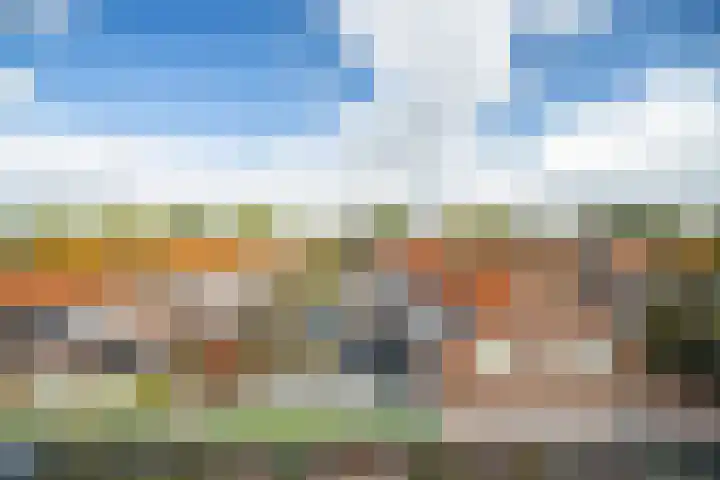 Os en Paardenlaan 2 C Leiden thumbnail 42