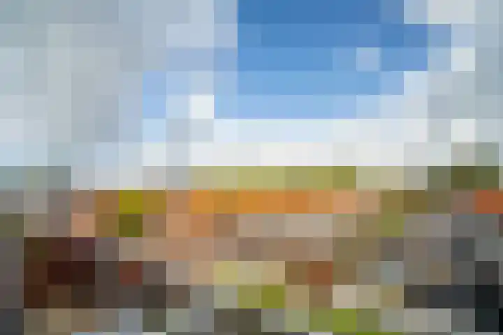 Os en Paardenlaan 2 C Leiden thumbnail 43