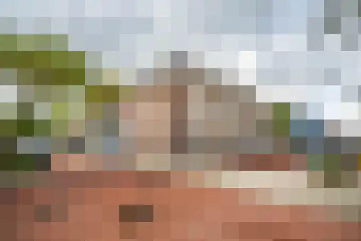 Os en Paardenlaan 2 C Leiden thumbnail 52