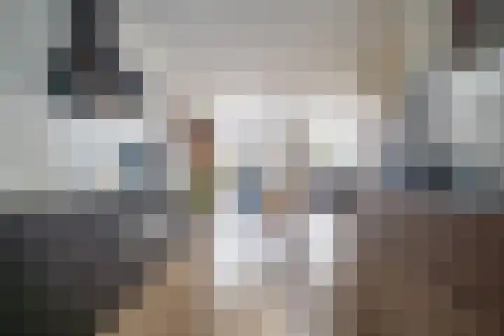 Os en Paardenlaan 2 C Leiden thumbnail 7