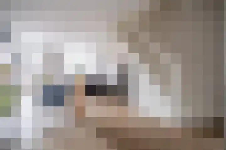 Os en Paardenlaan 2 C Leiden thumbnail 8
