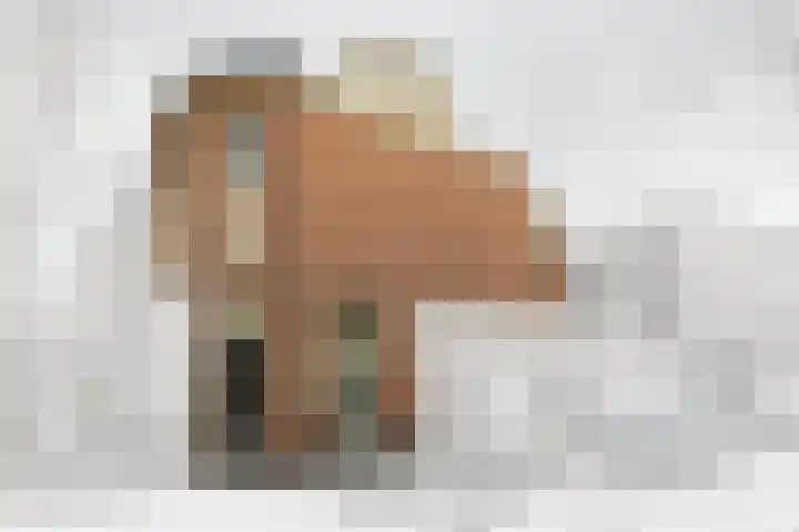 Os en Paardenlaan 21 Leiden thumbnail 19