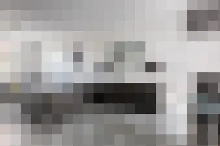 Os en Paardenlaan 23 Leiden thumbnail 6