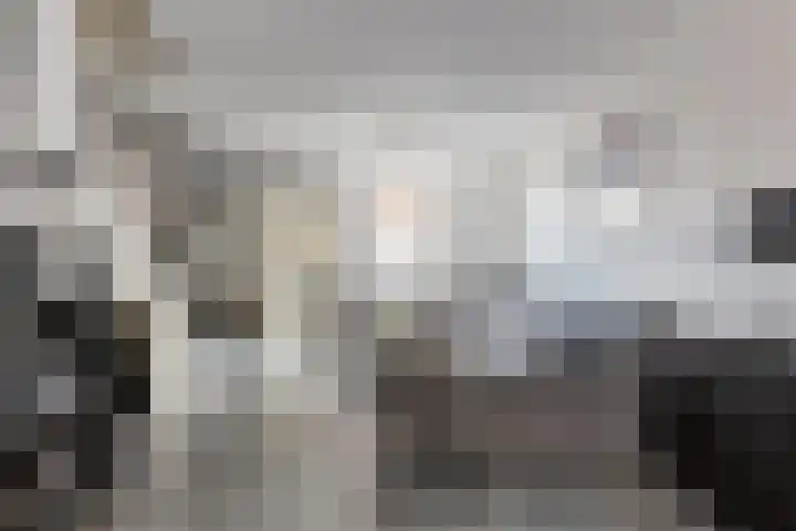Os en Paardenlaan 23 Leiden thumbnail 7