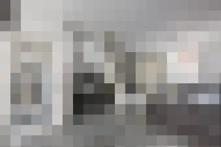 Os en Paardenlaan 23 Leiden thumbnail 8