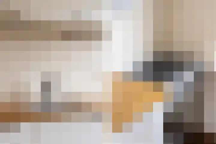 Osbornezijde 2 Zoetermeer thumbnail 13