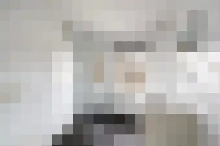 Osbornezijde 2 Zoetermeer thumbnail 21