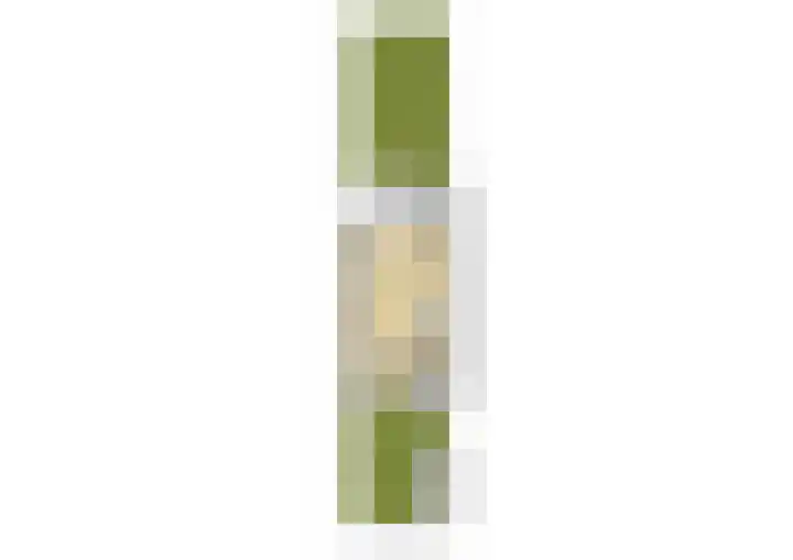 Osbornezijde 2 Zoetermeer thumbnail 42