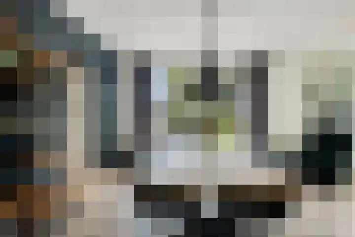 Osbroeken 2 Zuidlaren thumbnail 10