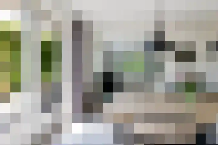 Osbroeken 2 Zuidlaren thumbnail 11