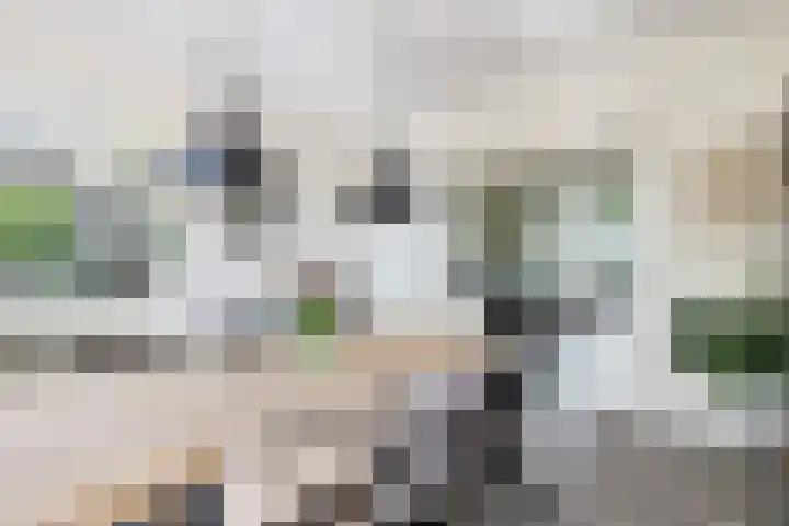 Osbroeken 2 Zuidlaren thumbnail 15