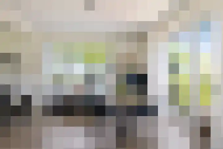Osbroeken 2 Zuidlaren thumbnail 16