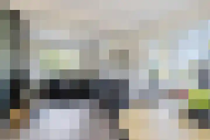 Osbroeken 2 Zuidlaren thumbnail 17