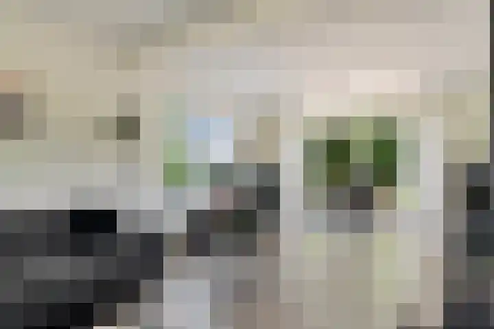 Osbroeken 2 Zuidlaren thumbnail 19
