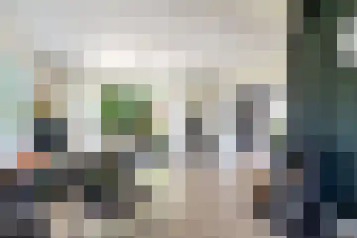 Osbroeken 2 Zuidlaren thumbnail 20