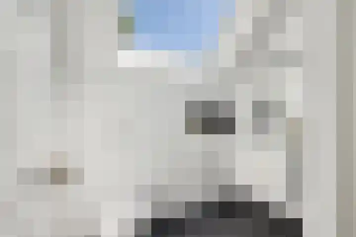 Osbroeken 2 Zuidlaren thumbnail 22