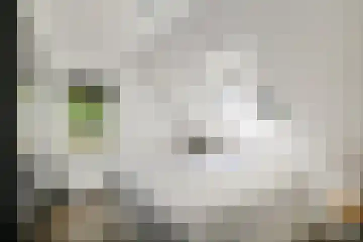 Osbroeken 2 Zuidlaren thumbnail 24