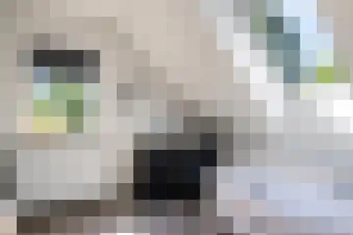 Osbroeken 2 Zuidlaren thumbnail 26