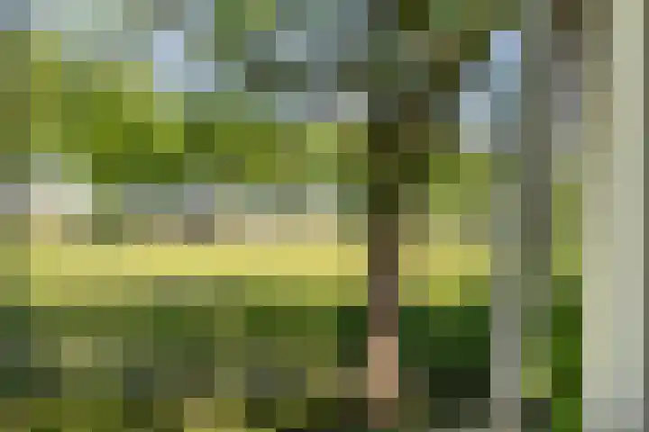 Osbroeken 2 Zuidlaren thumbnail 33