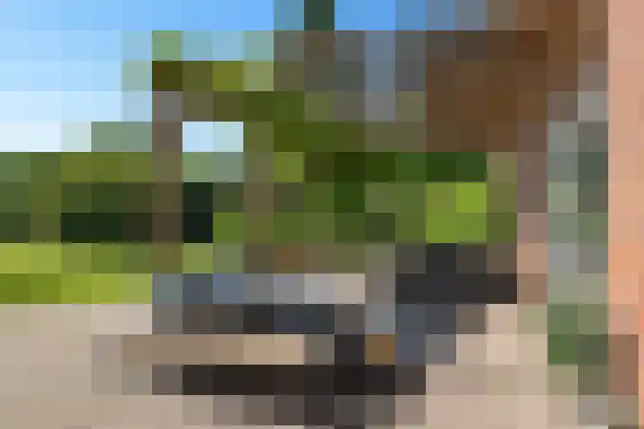 Osbroeken 2 Zuidlaren thumbnail 34