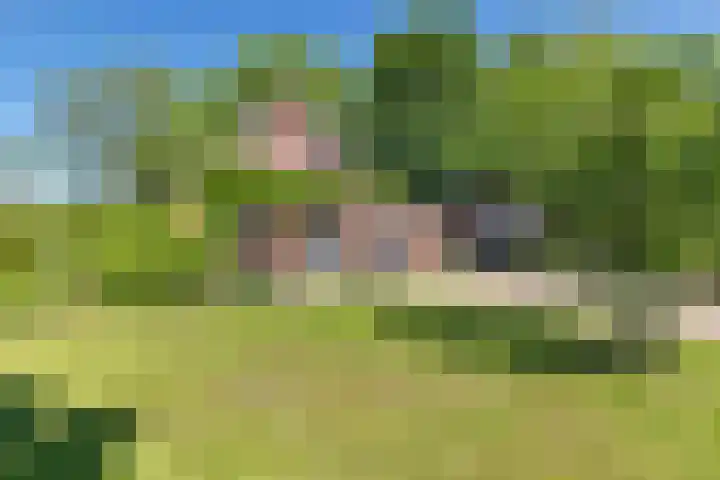 Osbroeken 2 Zuidlaren thumbnail 35