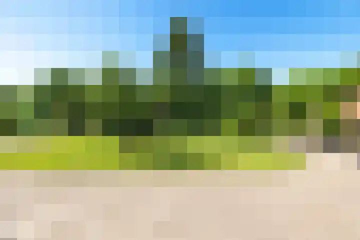 Osbroeken 2 Zuidlaren thumbnail 36