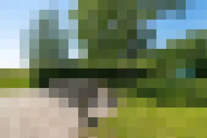 Osbroeken 2 Zuidlaren thumbnail 37