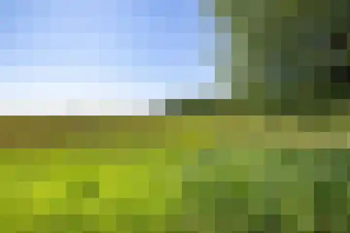 Osbroeken 2 Zuidlaren thumbnail 38