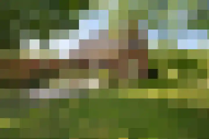 Osbroeken 2 Zuidlaren thumbnail 39