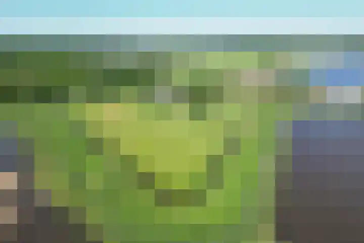 Osbroeken 2 Zuidlaren thumbnail 4
